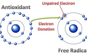 4 ích lợi hỗ trợ điều trị của Glutathion
