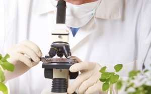 Gốc tự do và các chất chống oxy hóa - những điều cần biết