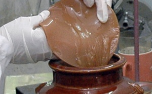 Trà thủy sâm: Chớ nên lạm dụng