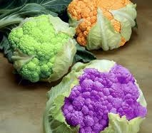 Tìm ra 'vũ khí' chống bệnh tật trong súp lơ Beneforte