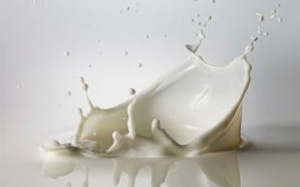 Thủ tướng New Zealand chỉ trích Fonterra cảnh báo chậm