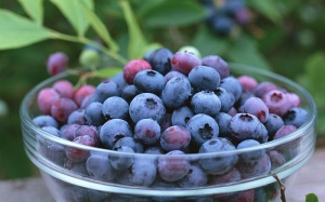 'Làm quen' với các siêu thực phẩm