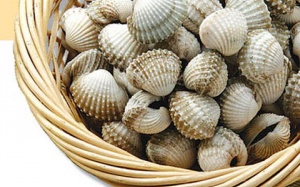 Thiếu sắt, giảm tư duy