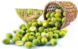 Trị nhiệt miệng bằng thực phẩm