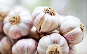 Tỏi sống giúp giảm gần 50% nguy cơ ung thư phổi