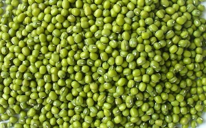 Đỗ xanh - chớ thấy lành mà lạm dụng