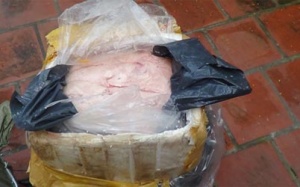 Hà Nội: Tiêu hủy hơn 700kg nầm lợn thối