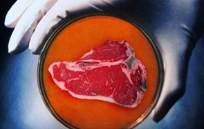 Các tỷ phú ngành IT chạy đua sản xuất thịt nhân tạo