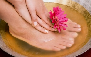 Chăm 'gót ngọc' mùa khô hanh