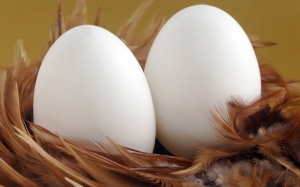 Ăn trứng sống dễ nhiễm khuẩn