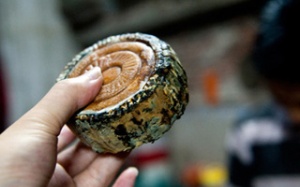 Hoang mang vì bánh trung thu 'nhiều tuổi'