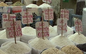 Chưa phát hiện gạo có chất gây ung thư tại Việt Nam