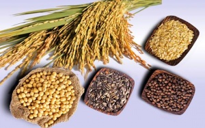 Selen - chất khoáng quý