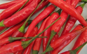 Độc hại như ớt mùa mưa