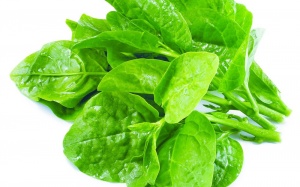 Rau mồng tơi và tác dụng chữa bệnh