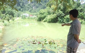 Hòa Bình: Nghi án nhà máy quặng 'đầu độc' dân