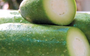 Uống nước bí đao tươi dễ bị ung thư?