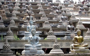 Sự tương thích giữa hoá thân và báo thân