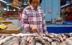 Hàng đông lạnh Trung Quốc: đủ chứng nhận vẫn đầy chất cấm