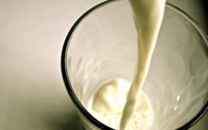 Lô hàng đạm sữa “có vấn đề” không sang Việt Nam