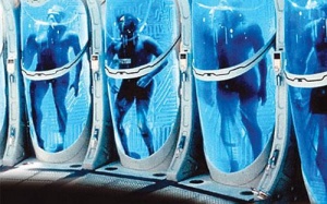 Dân Mỹ không chuộng 'bất tử'