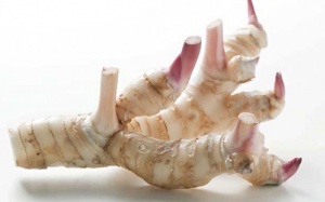 Lợi ích từ củ riềng