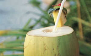 Quả dừa - nguồn 'nước tăng lực' thiên nhiên