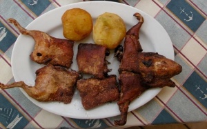 Nếm thịt chuột, hơn 80 người nhập viện