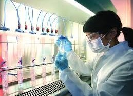 Liệu pháp nhắm trúng đích: Lời giải cho bệnh ung thư?