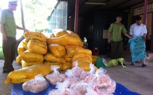 Bắt giữ 1,5 tấn mực 'dây chun' trên đường Nam tiến