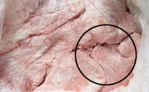 Bắt giữ hơn 1 tấn nầm heo thối trên đường tiêu thụ