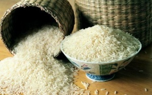 Thái Lan vẫn bế tắc trong biển gạo