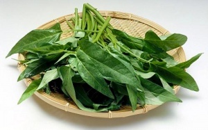 Rau muống - Vị thuốc dân dã