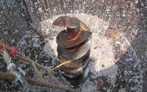 Một công nhân nguy kịch do máy nghiền ngô cuốn