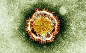 Ca tử vong đầu tiên do virus MERS-CoV tại Qatar