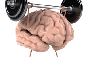 'Tập thể thao' cho não bộ