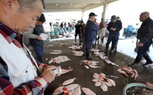 Phát hiện nồng độ chất phóng xạ trong nước ngầm ở Fukushima