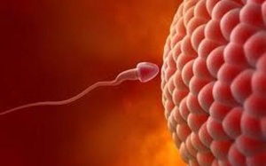 Bí mật nho nhỏ của các 'tinh binh'