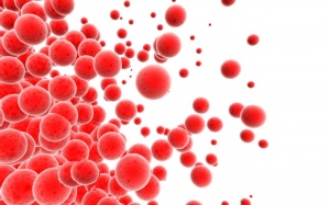 Bệnh về máu: càng hiếm gặp càng nguy hiểm