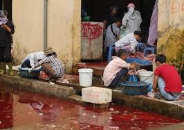 Lòng lợn: Khoái khẩu hại thân