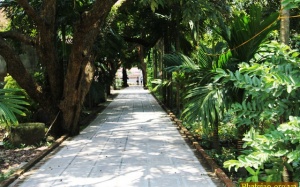 Hoài niệm cùng Thăng Long cổ tự...