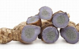 Nghệ đen chữa bệnh