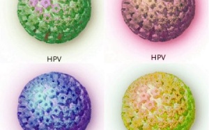 Trung Quốc: 'Tuyển' trinh nữ cho nghiên cứu virus HPV