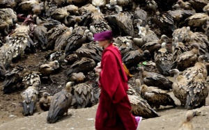 Tục Thiên táng ở Tây Tạng: Để linh hồn bay lên phóng khoáng