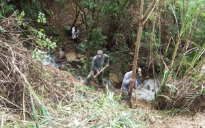 Tan hoang núi rừng vì… “thần dược”!