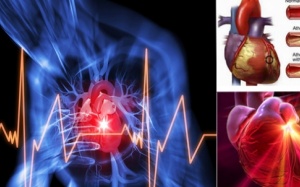 Đối tượng nào có thể sử dụng Vương Tâm Thống?