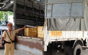 230 con heo đã được giết mổ nghi có dịch bệnh