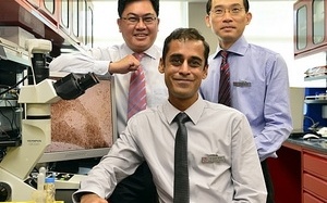 Tìm ra thuốc điều trị rối loạn nhịp tim gây đột tử