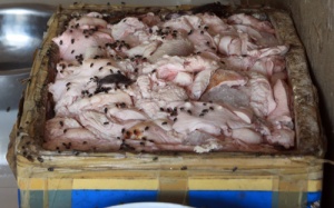 Kỳ 3: Thực phẩm bẩn bủa vây