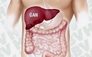 Chẩn đoán gan nhiễm mỡ: siêu âm chưa đủ!